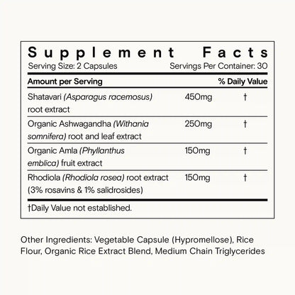 Nootropic Stack